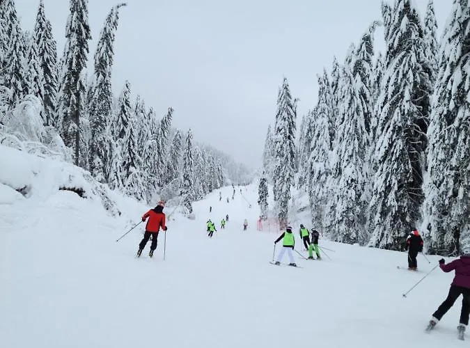 Apartman Milmari & N Lux 90